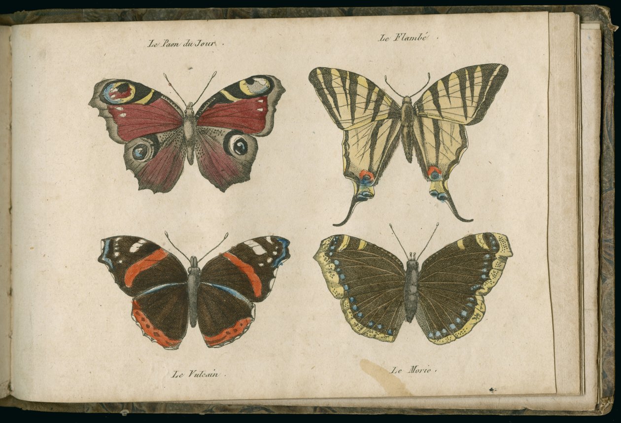 Les récréations de la campagne, ou, Petites historiettes - French School