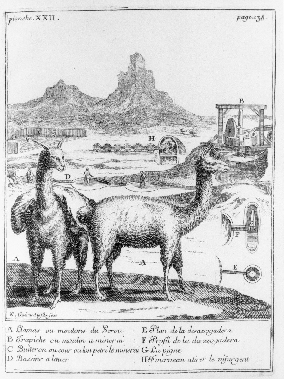 Lamas et diagrammes concernant l