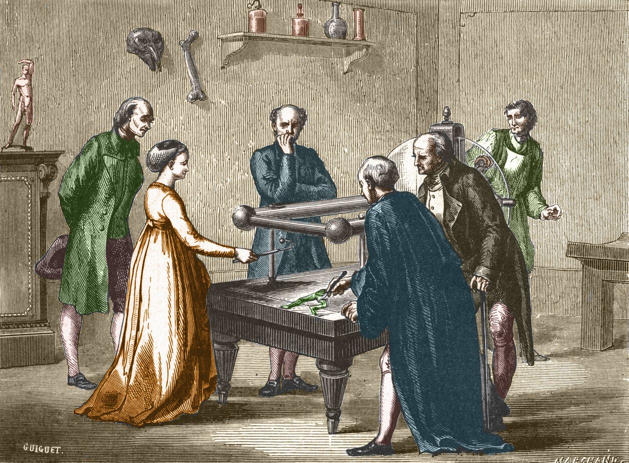 Luigi Galvani, professeur à Bologne, a découvert en 1780 l