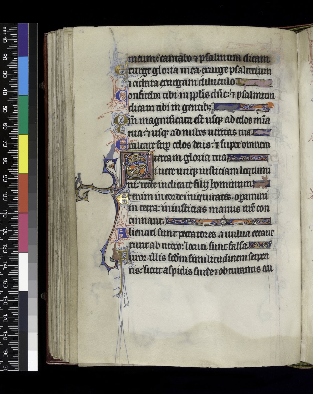 MS 300 f.61v, folio du Psautier et Heures d