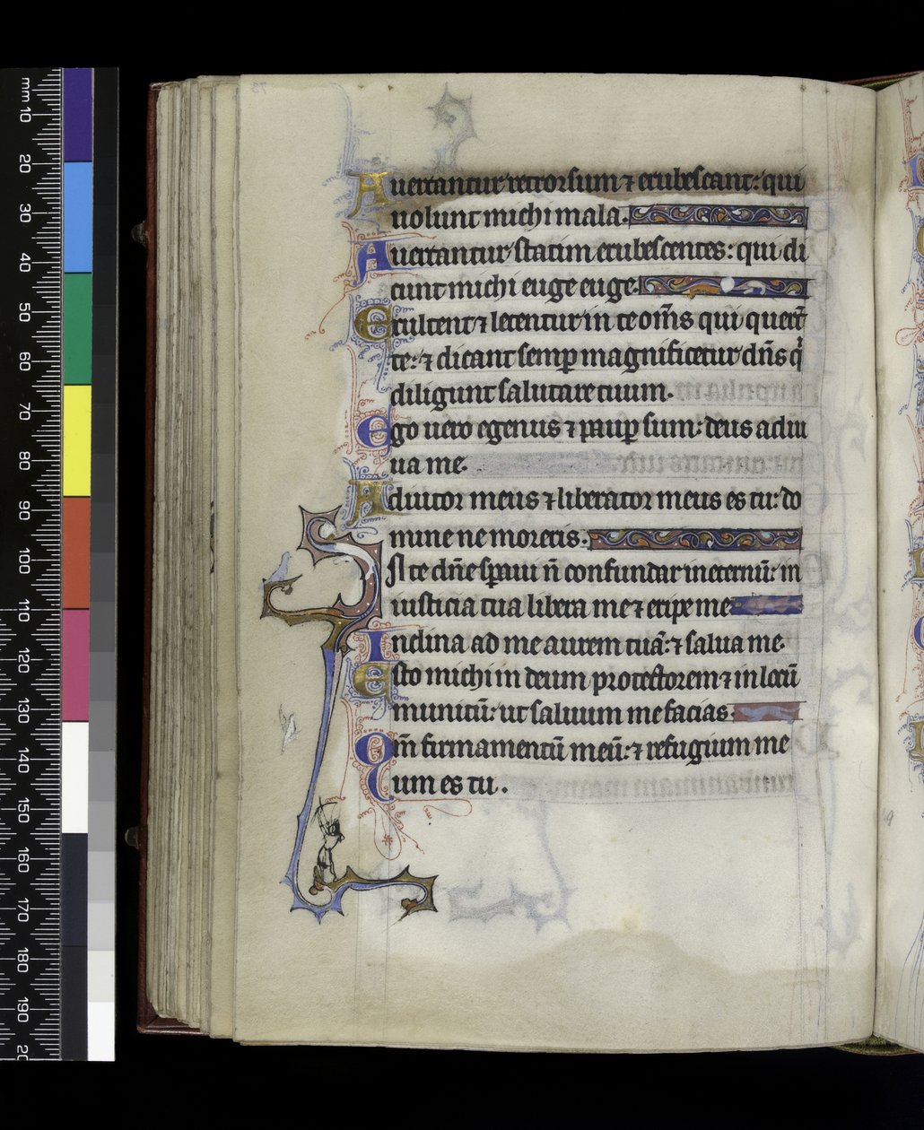 MS 300 f.73v, du Psautier et Heures d