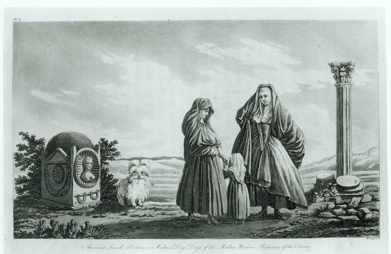 Femmes maltaises, de Ancient and Modern Malta par Pierre Marie Louis de Boisgelin de Kerdu, publié en 1805 - French School