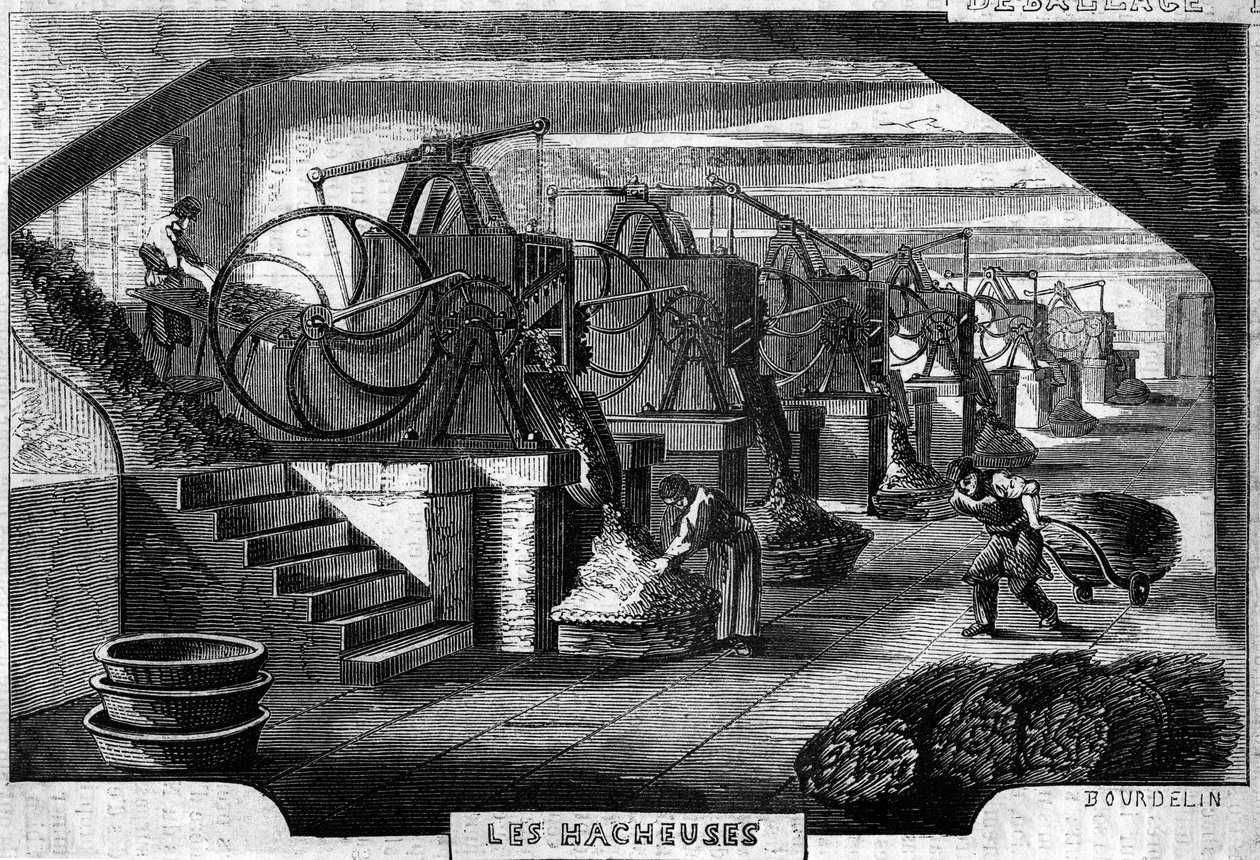 Manufacture des tabacs, Paris - French School