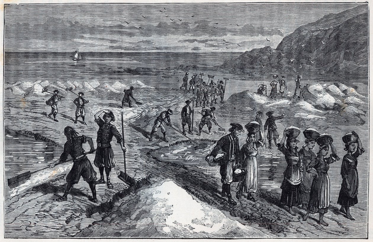 Marais salants de Bretagne au XIXe siècle - Gravure dans "Les sciences mises à la portée de tous - physique et chimie populaires" par Alexis Clerc - Fin du XIXe siècle - Collection privée - French School
