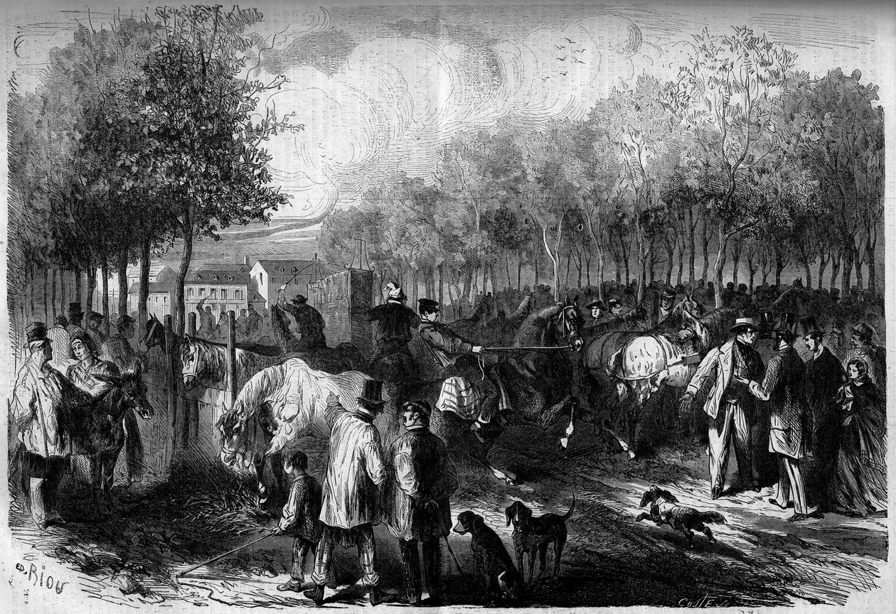 Marché aux chevaux de Paris - French School