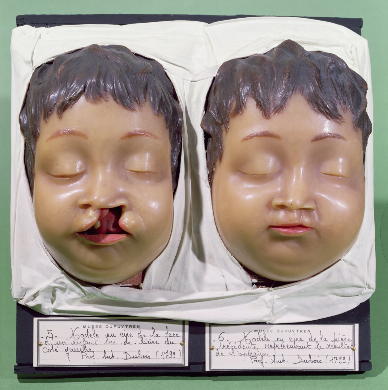 Modèle montrant le visage d