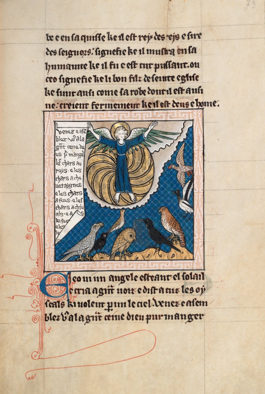 Ms65 f73r, Commentaire sur l