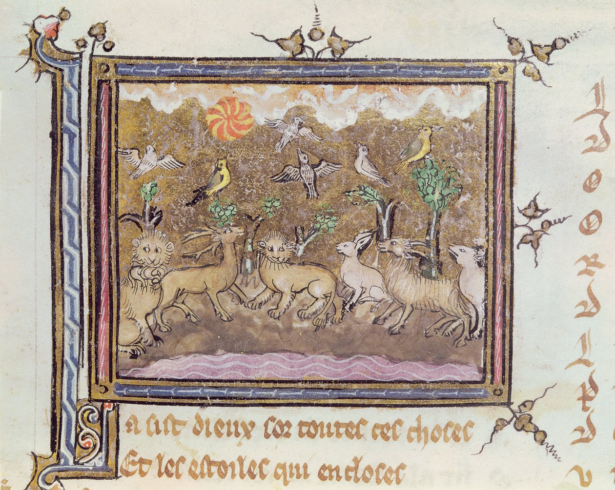 La Création des Animaux, d