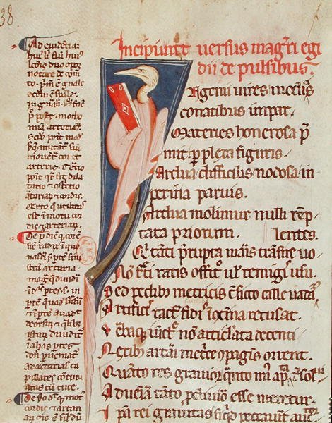 Ms 2046 fol.438 Un oiseau tenant un livre par Gilles de Corbeil (1165-1222) de 