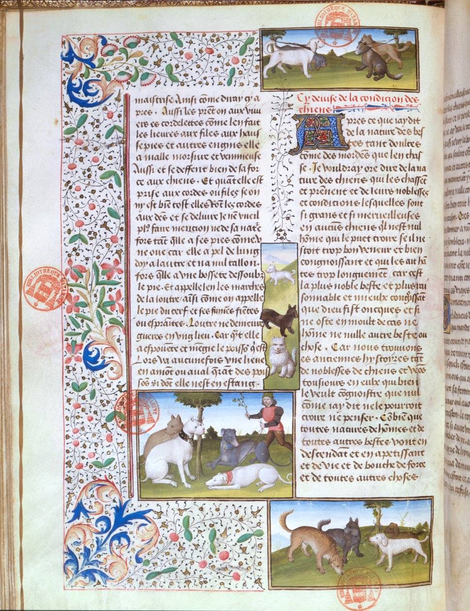 Chiens de chasse, du Livre de la Chasse par Gaston Phébus de Foix (1331-91) - French School