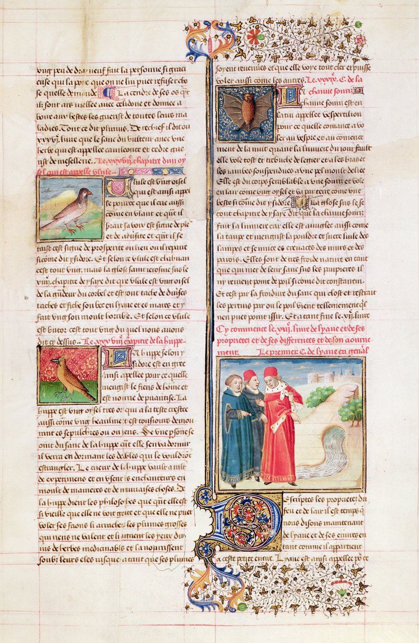 Ms 399 fol.149 Les propriétés de la tortue, de la huppe et de la chauve-souris, du 
