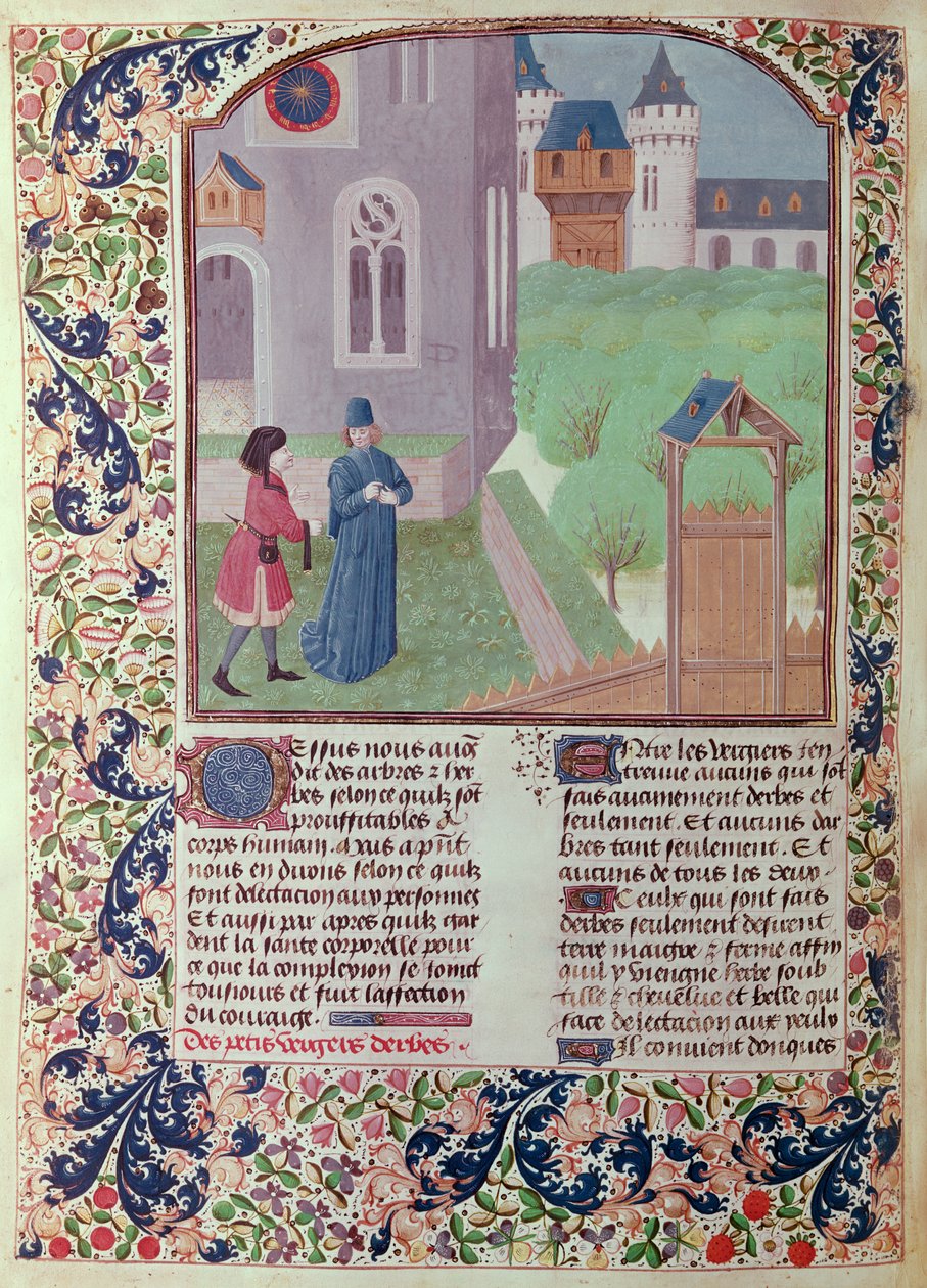 Ms 5064 f.202v Le Verger, illustration de Le Livre des Prouffitz Champestres par Pietro de Crescenzi (1230-132021) - French School