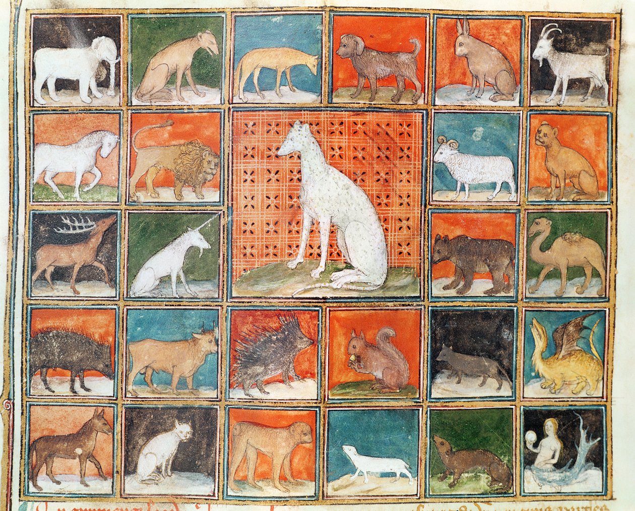 Ms 993 fol.254v Les Propriétés des Bêtes : Les Mammifères, du Livre des Propriétés des Choses par Jean Cordichon - French School