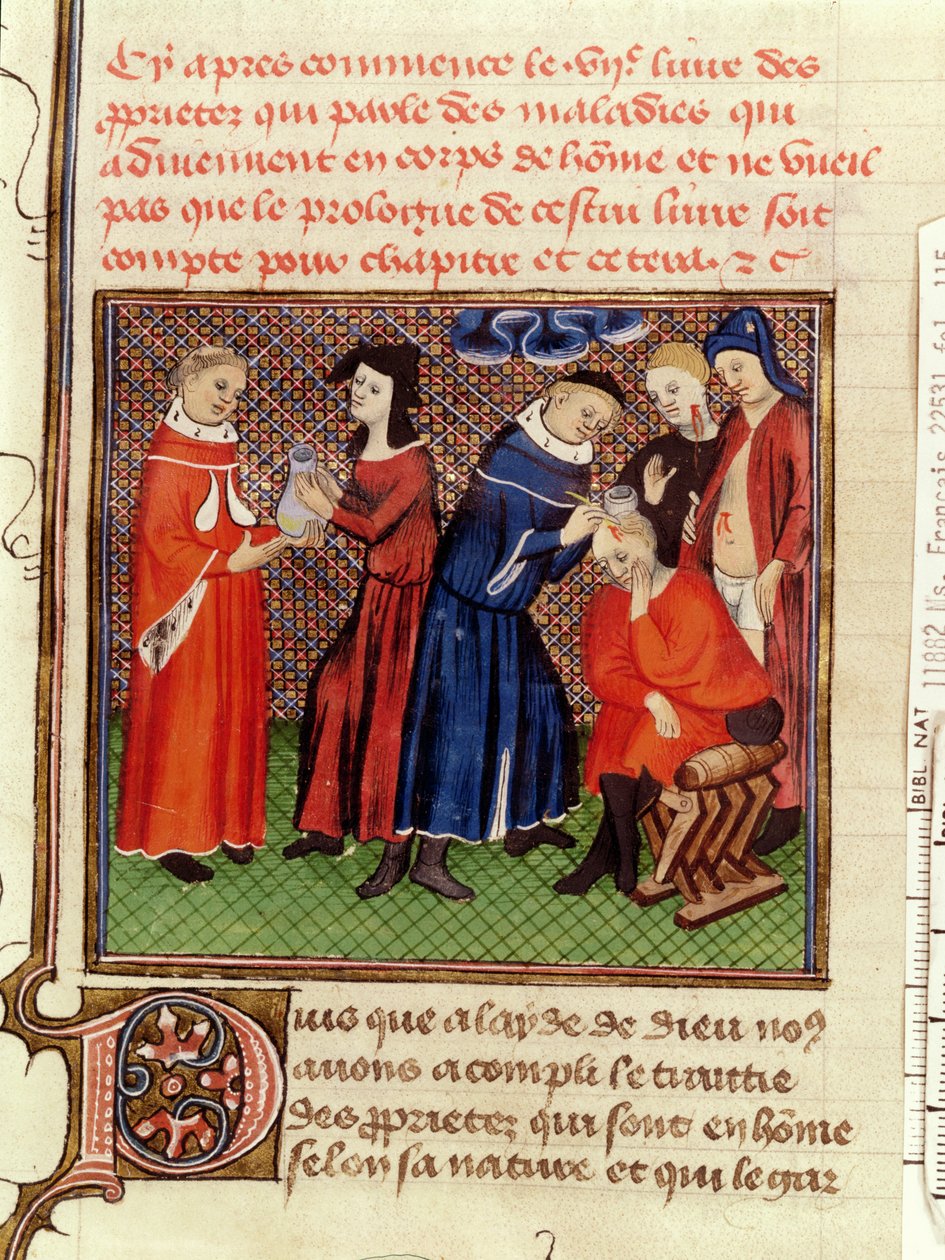 Ms Fr 22531 Fol.115 L