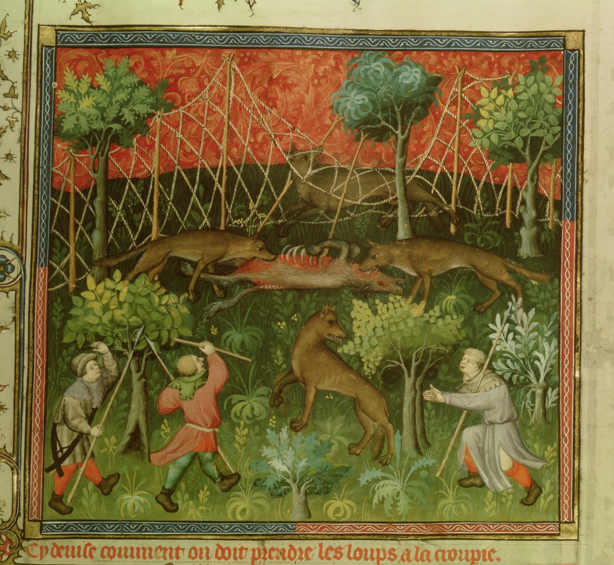 Chasse au loup avec l