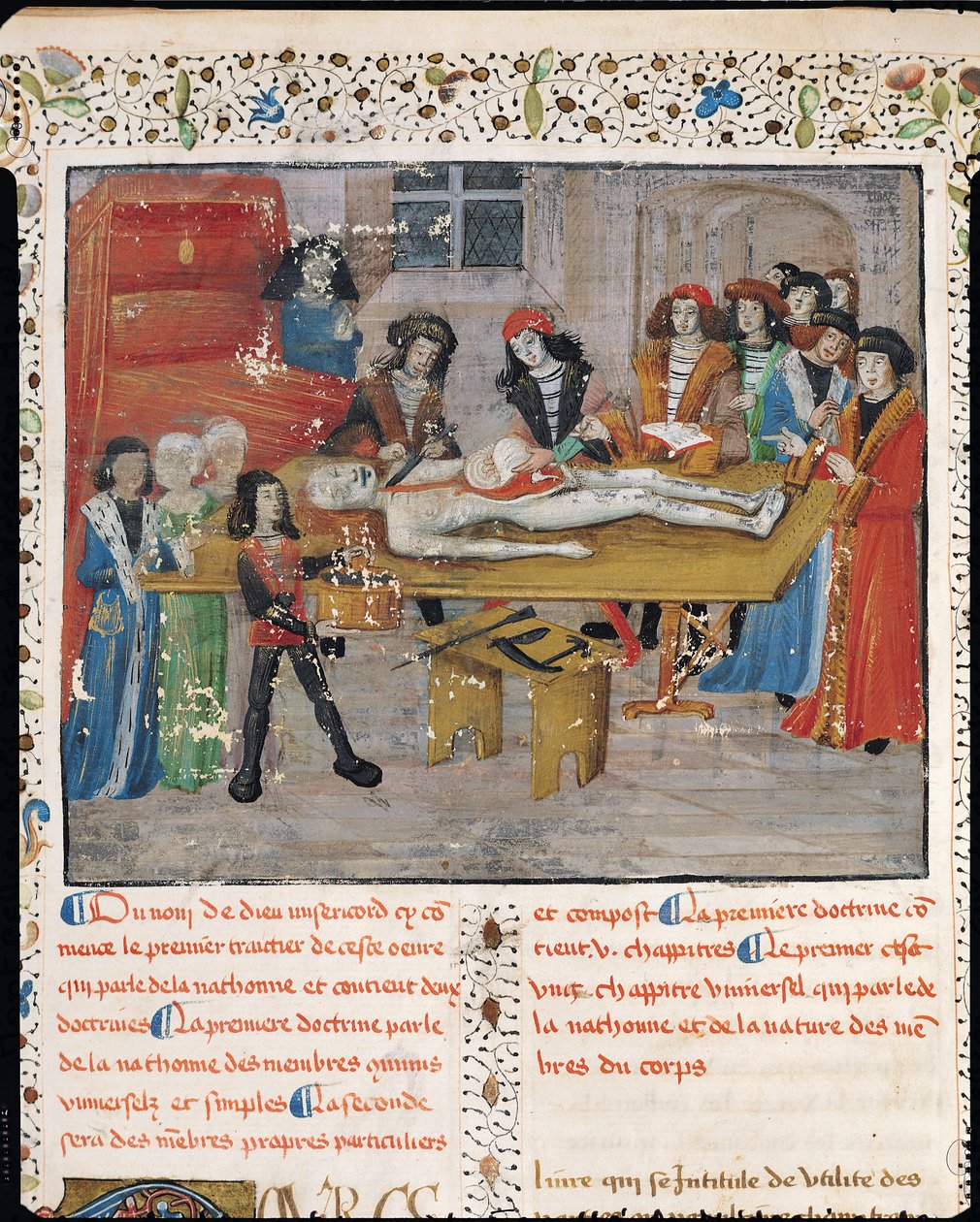 Ms H 184 fol.14v Leçon de dissection à la Faculté de Médecine de Montpellier, de 