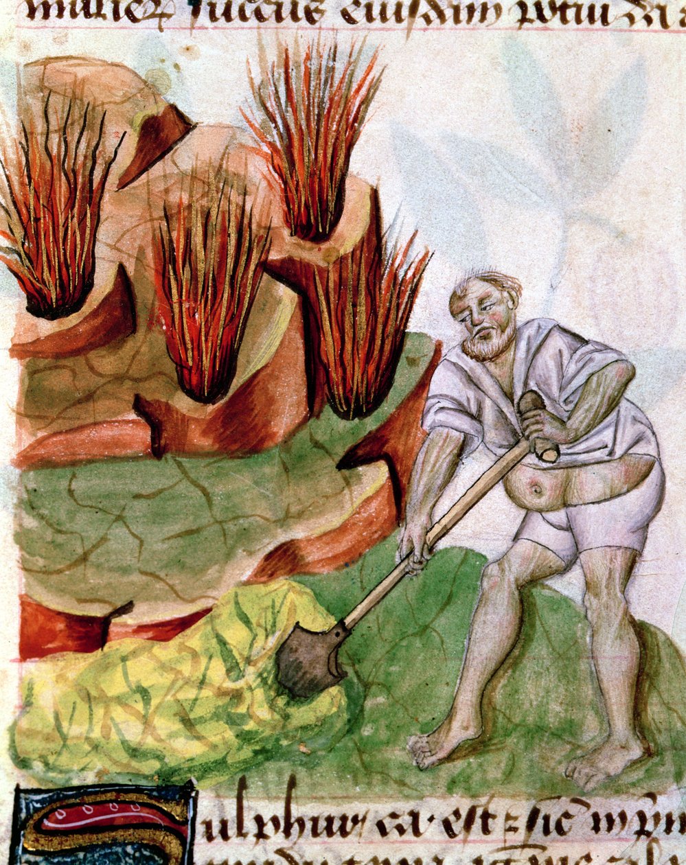 À la recherche de soufre, du De Herbis de Dioscoride - French School