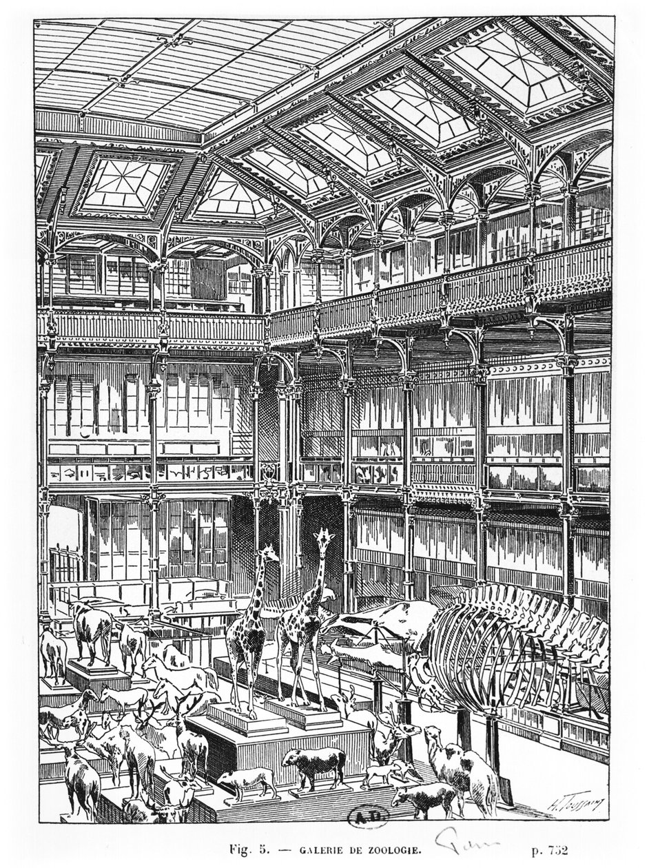 Musée d