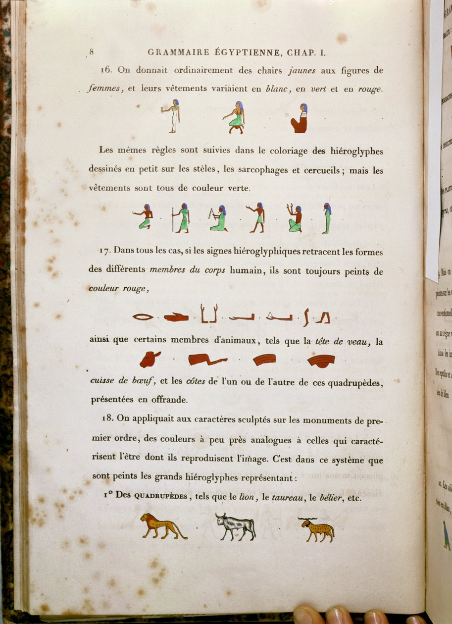 Notes sur la coloration de certains hiéroglyphes, de Grammaire Égyptienne par Jean-François Champollion (1790-1832) 1836 - French School