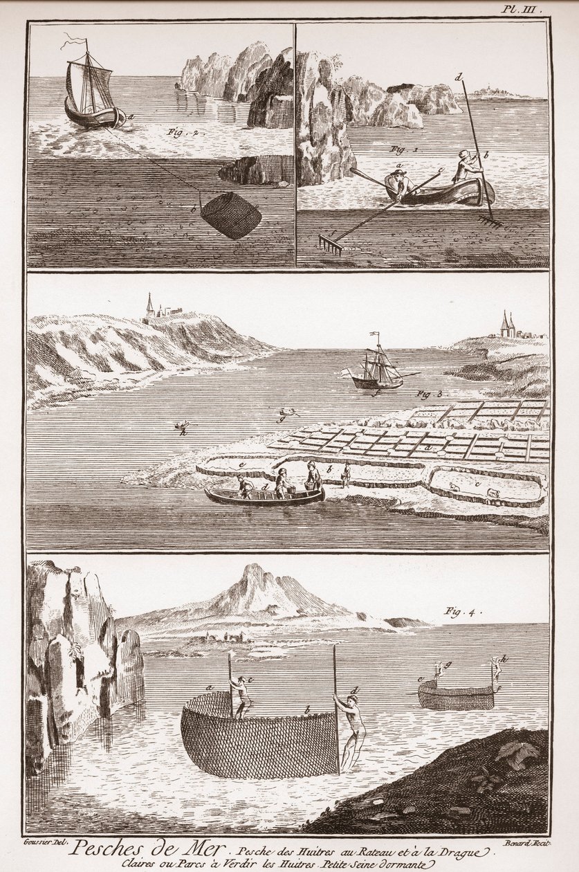 Pêche aux huîtres - « L