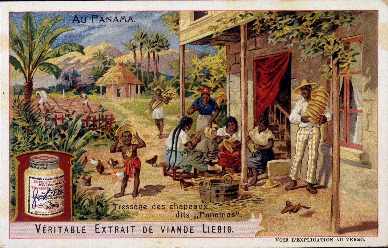 Panama : tressage de chapeaux panama - chromo. Liebig - French School