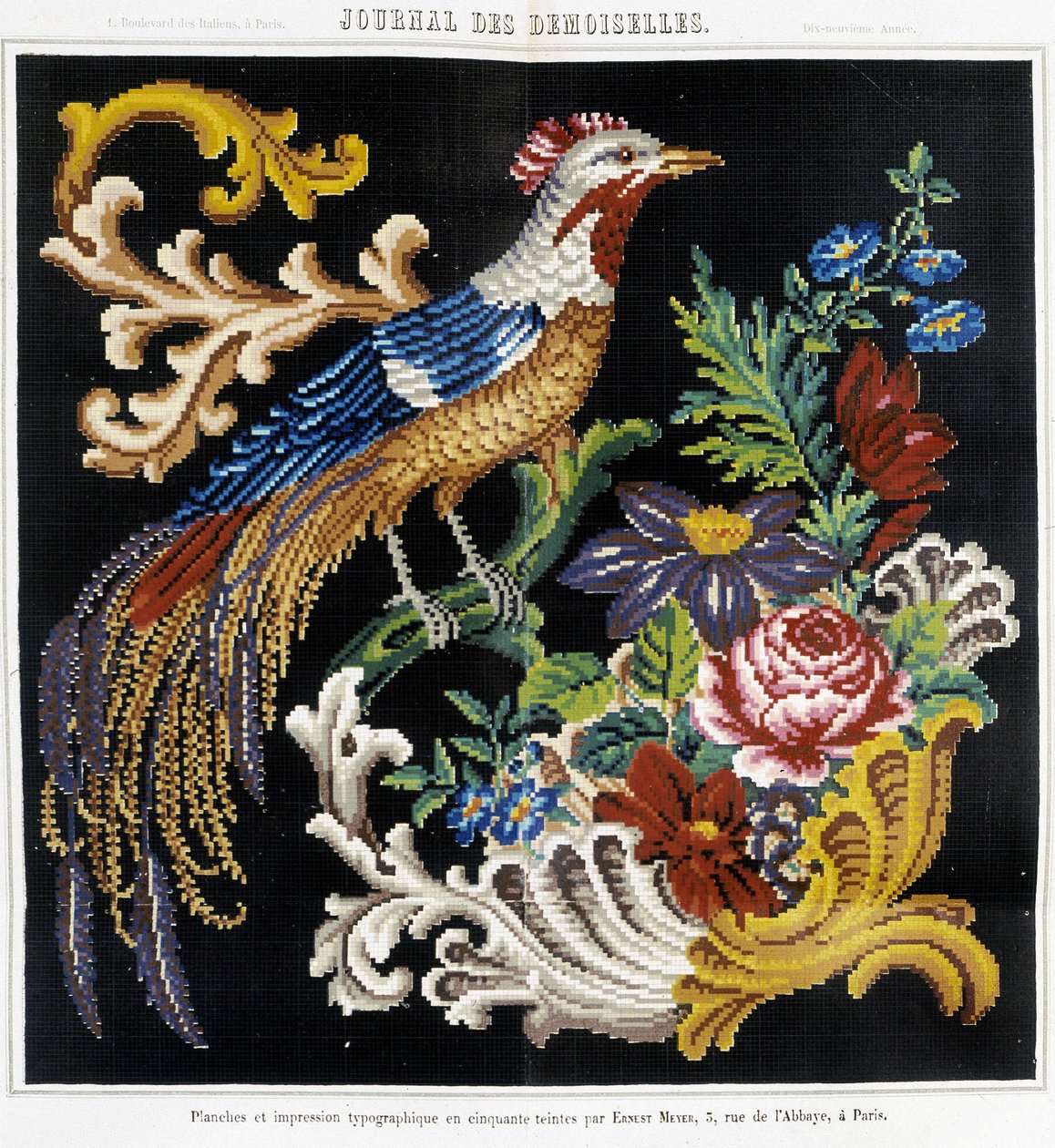 Modèle pour broderie au point de croix (oiseau de paradis) - dans "Journal des Demoiselles" 1852. - French School
