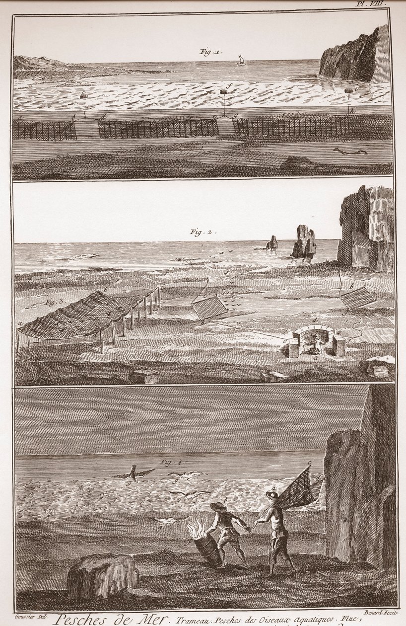 Pêche de mer - Trameau - Pêche aux oiseaux aquatiques - « La Grande Encyclopédie, ou Dictionnaire Raisonné des Sciences, des Arts et des Métiers » par Denis Diderot (1713-1784) et Jean d