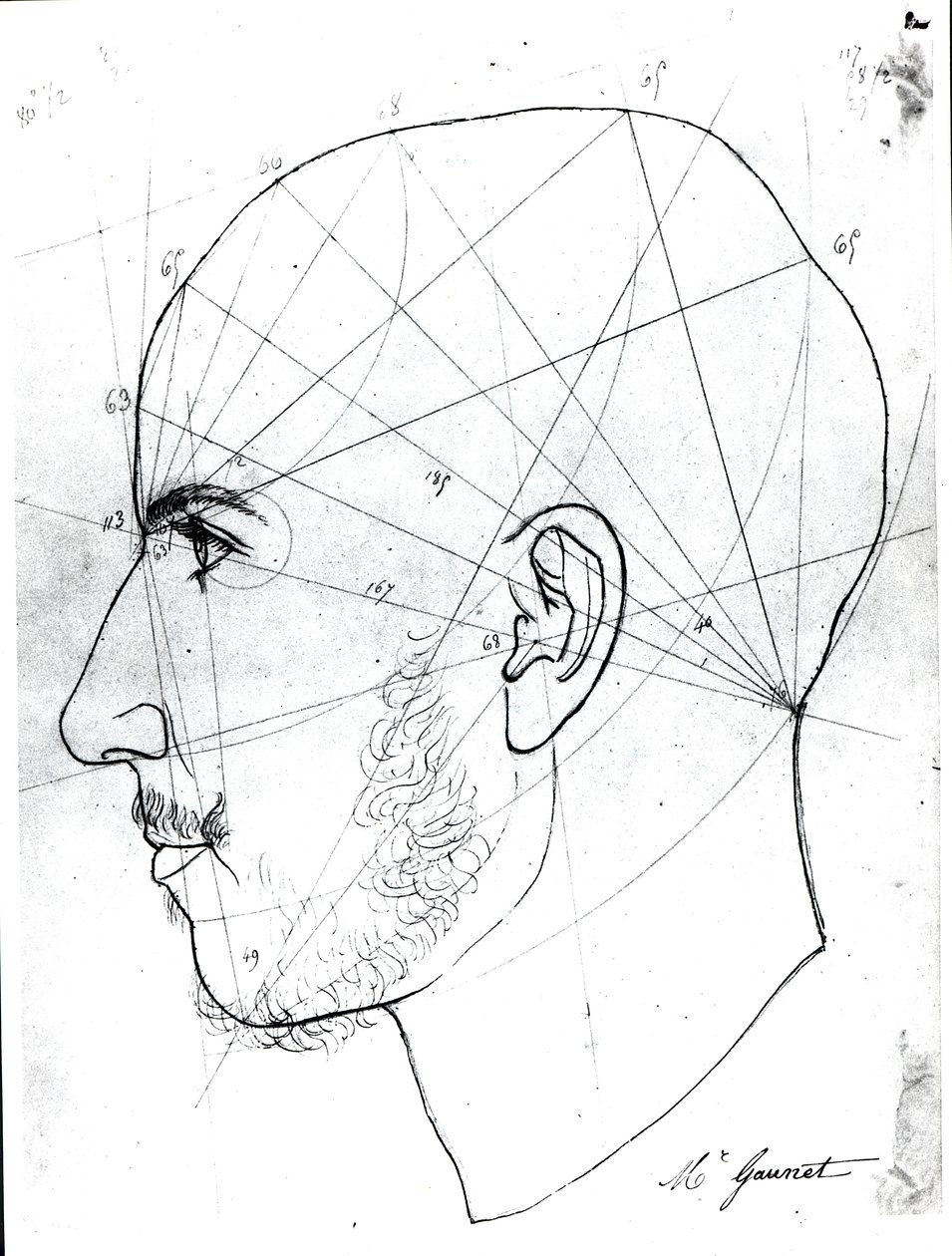 Étude phrénologique, d