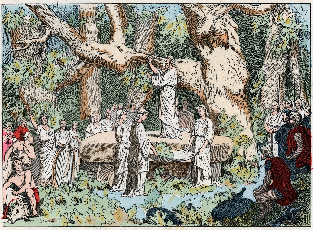 Cueillette du gui par les druides en Gaule, fin du XIXe siècle (gravure)