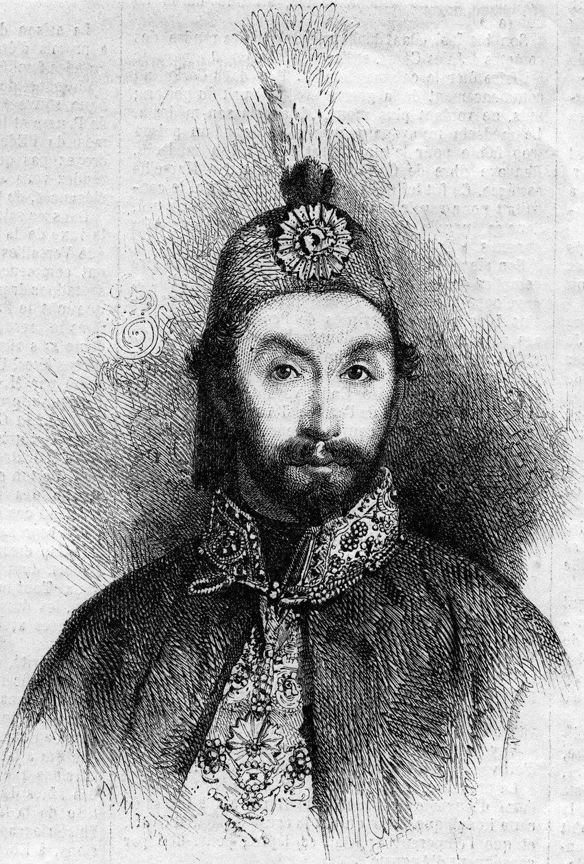 Portrait d