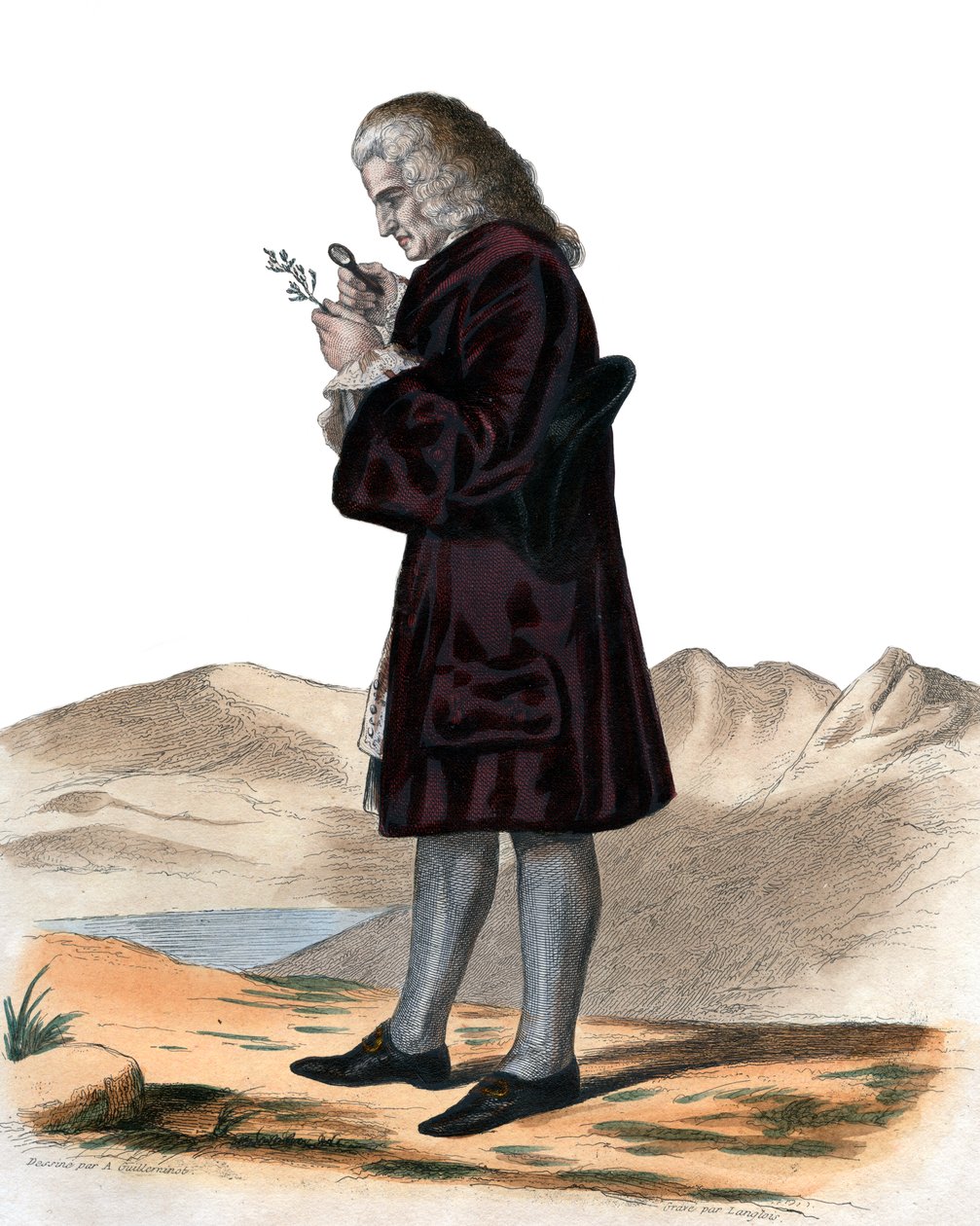 Portrait de Bernard de Jussieu (1699-1777) - French School