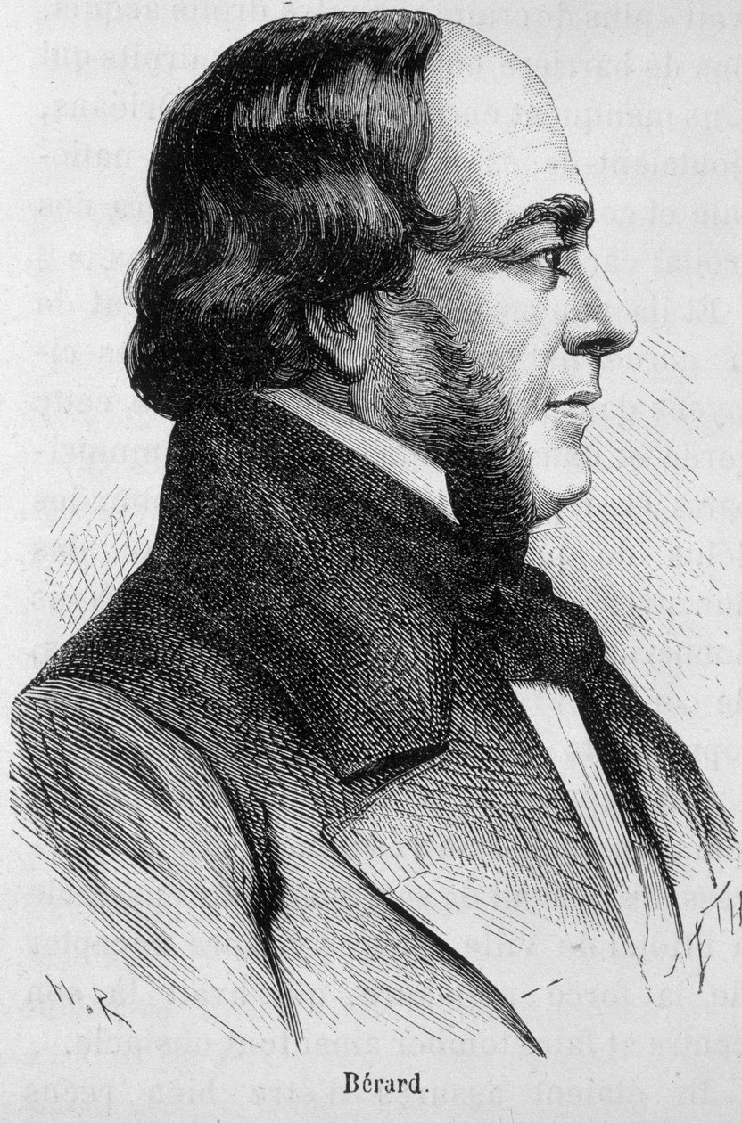 Portrait de Bérard - dans « L