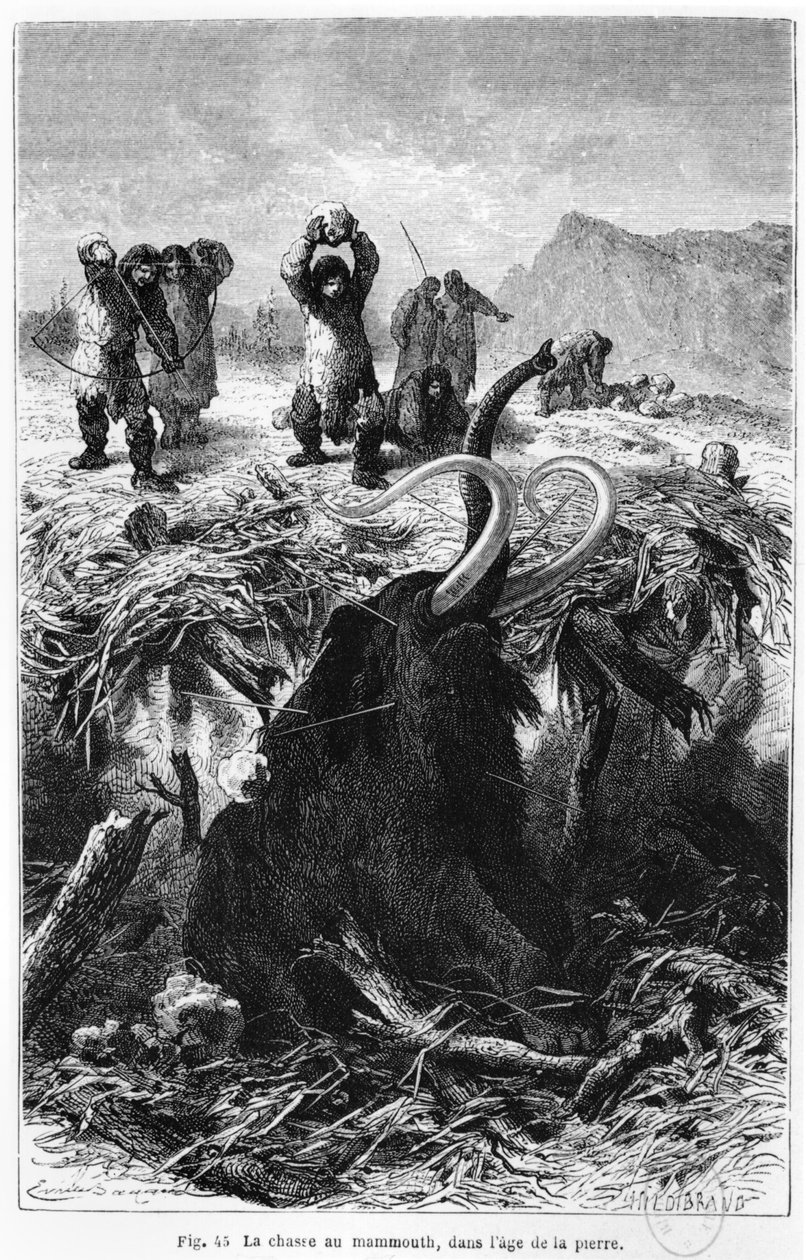 Hommes préhistoriques chassant un mammouth, illustration de L