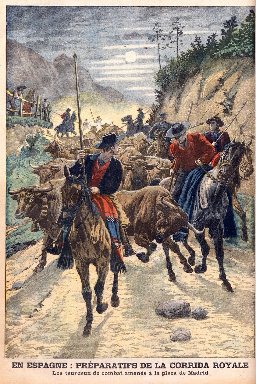 Préparatifs pour les corridas pour célébrer le mariage du roi Alphonse XIII d