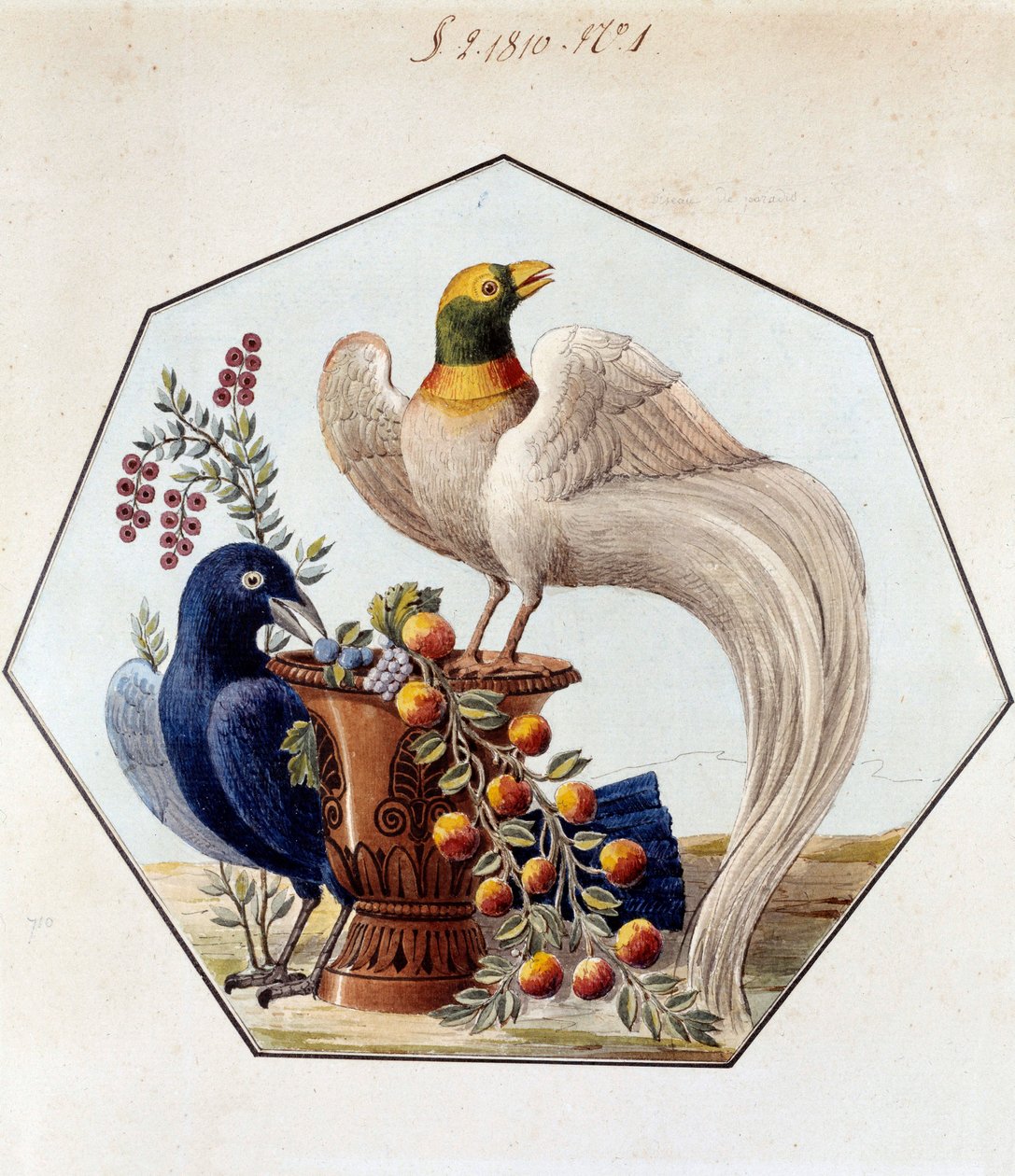 Projet pour la table des oiseaux en porcelaine par Alexandre Brongniart (1770-1847). 1810 Sèvres, archives de la Manufacture de Sèvres - French School