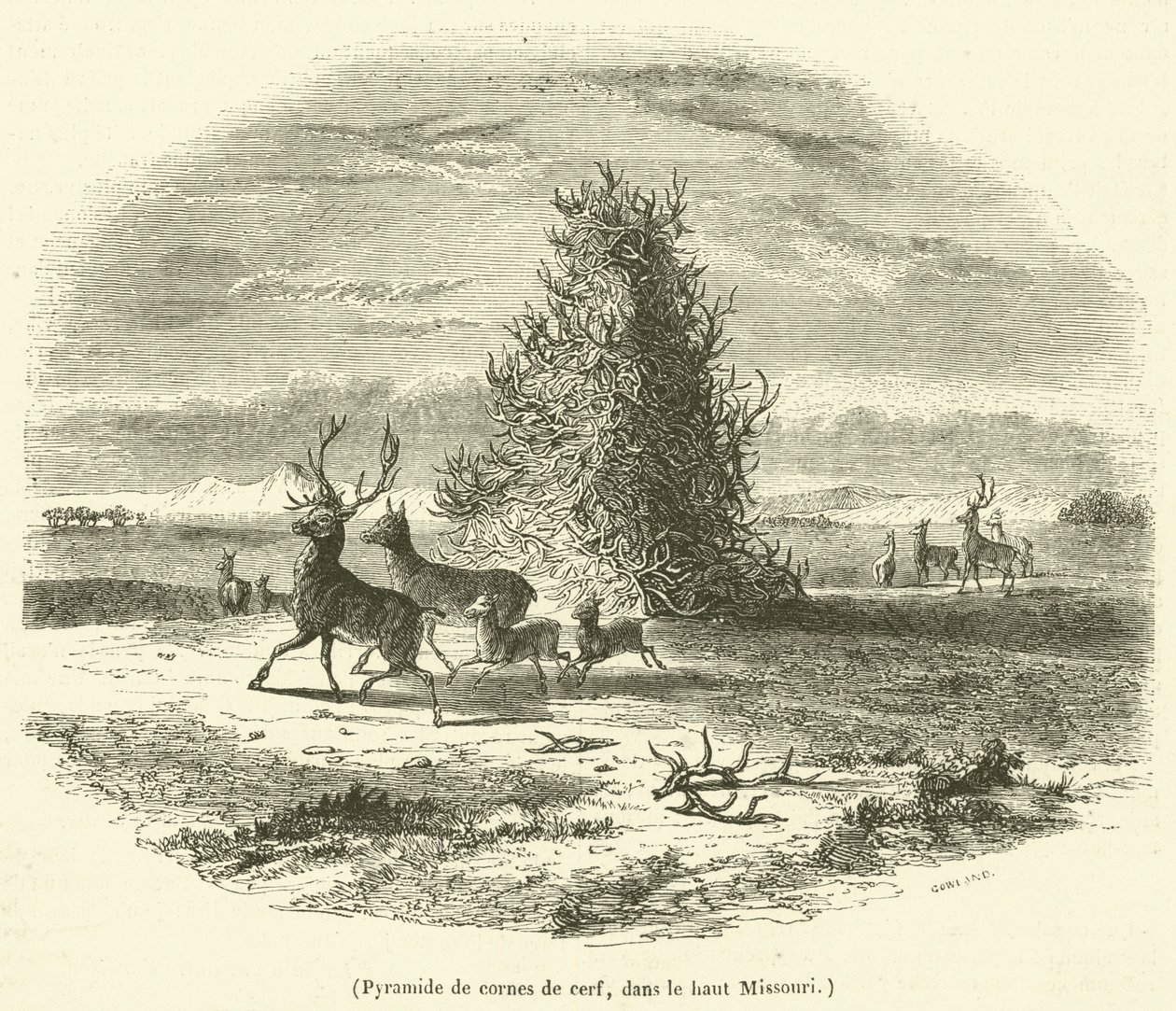 Pyramide de cornes de cerf, dans le haut Missouri (engraving) - French School