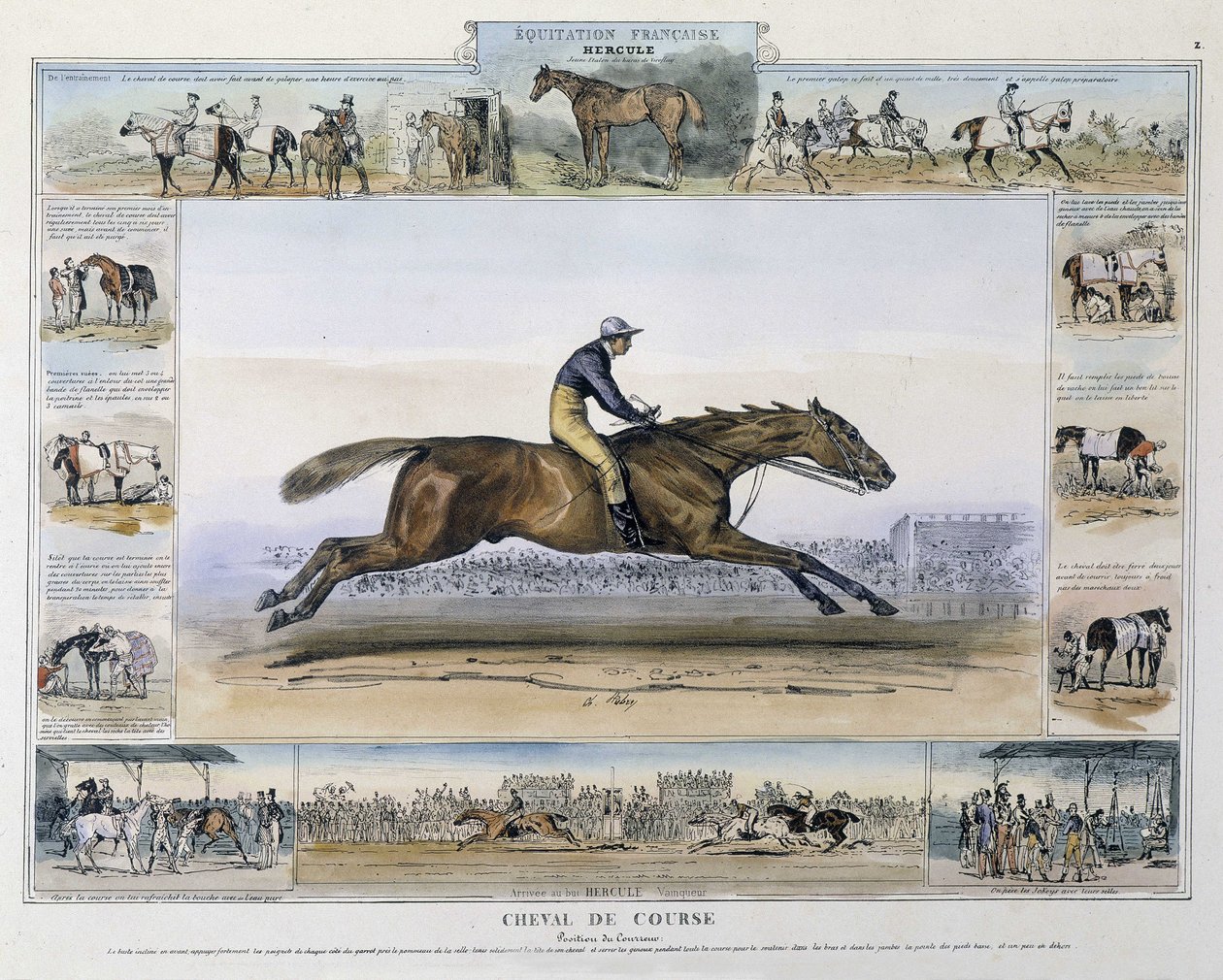 Cheval de course dans "Histoire pittoresque de l