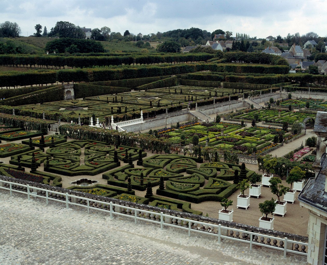 Architecture Renaissance : vue des jardins du château de Villandry - French School