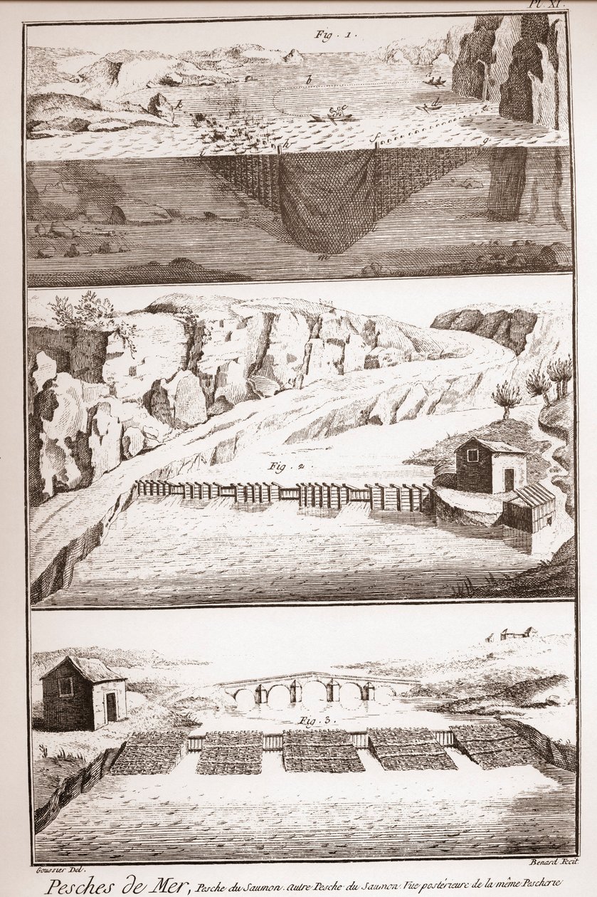 Techniques de pêche au saumon - Encyclopédie ou Dictionnaire des Sciences, Arts et Métiers par Denis Diderot (1713-1784) et Jean d
