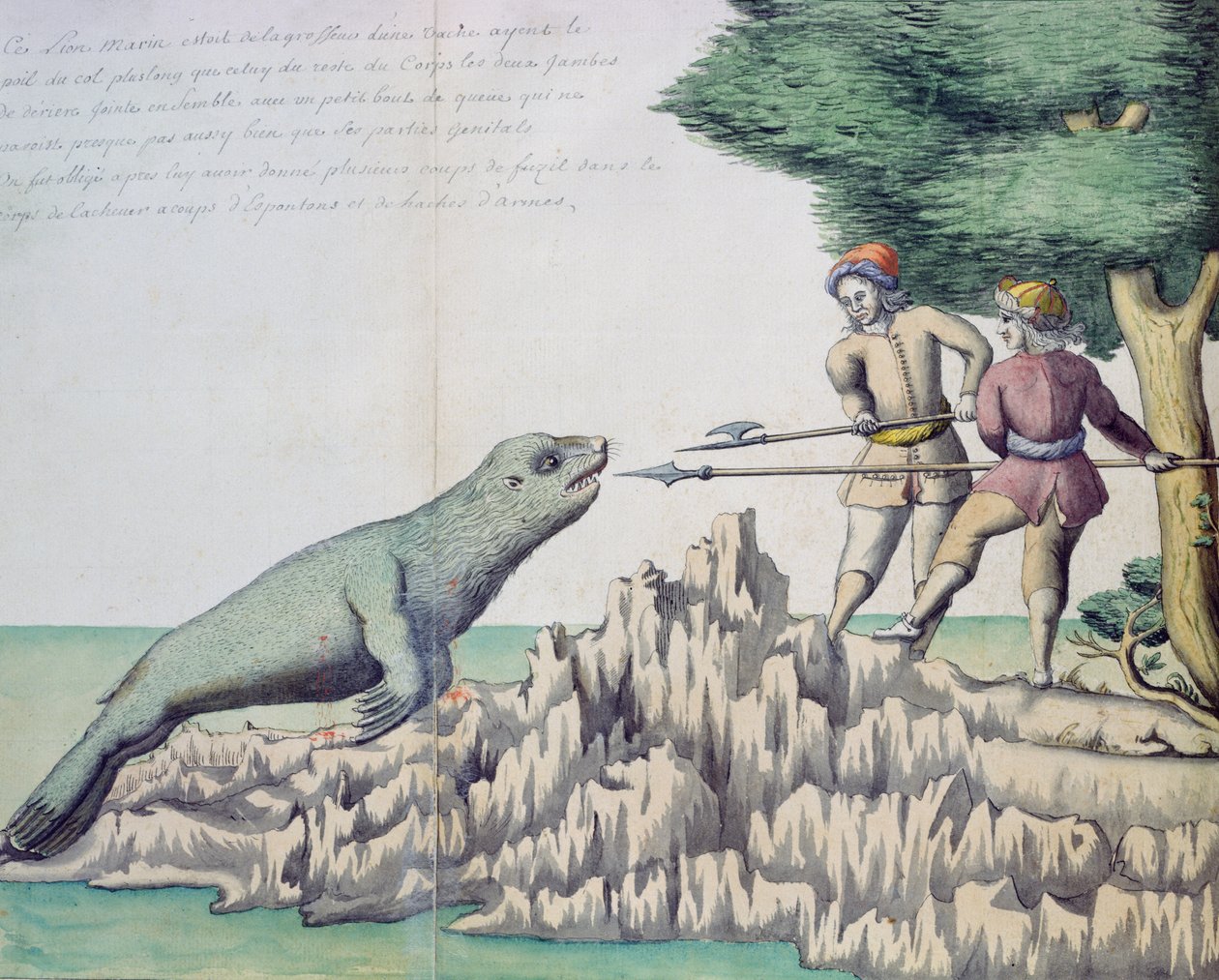 Lion de mer près du détroit de Magellan - French School