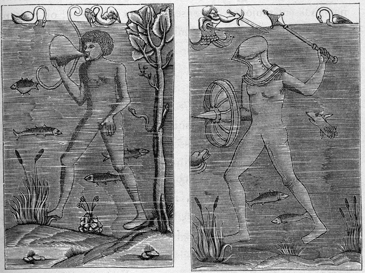 Soldat de mer : le plongeur et l