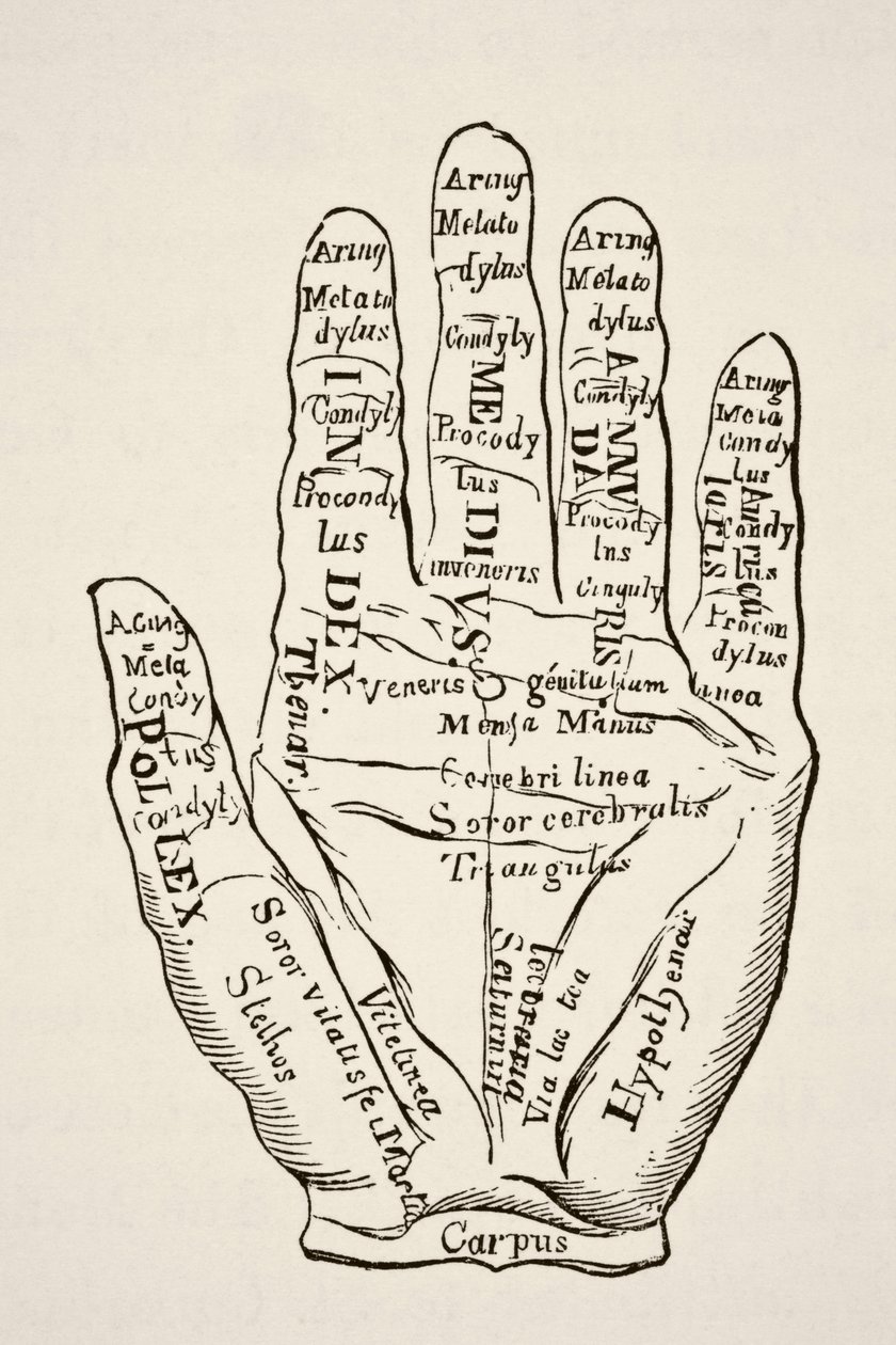 Spécimen de la main gauche avec les lignes et leurs dénominations horoscopiques, de Science et Littérature au Moyen Âge par Paul Lacroix, pub. Londres 1878 - French School