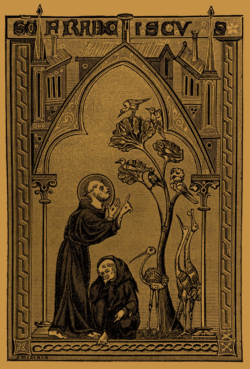 Saint François d
