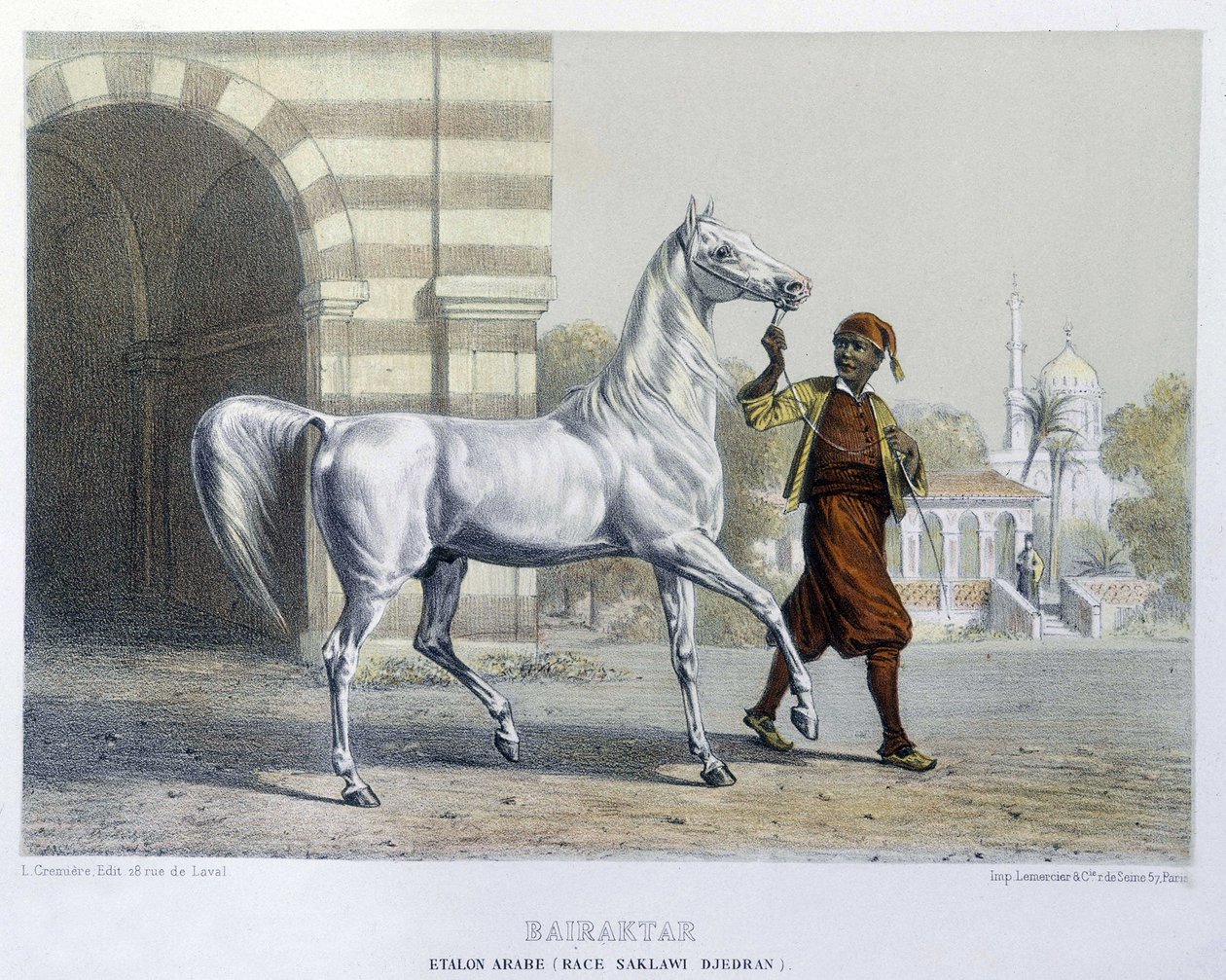 Stalon arabe, Bairaktar - French School