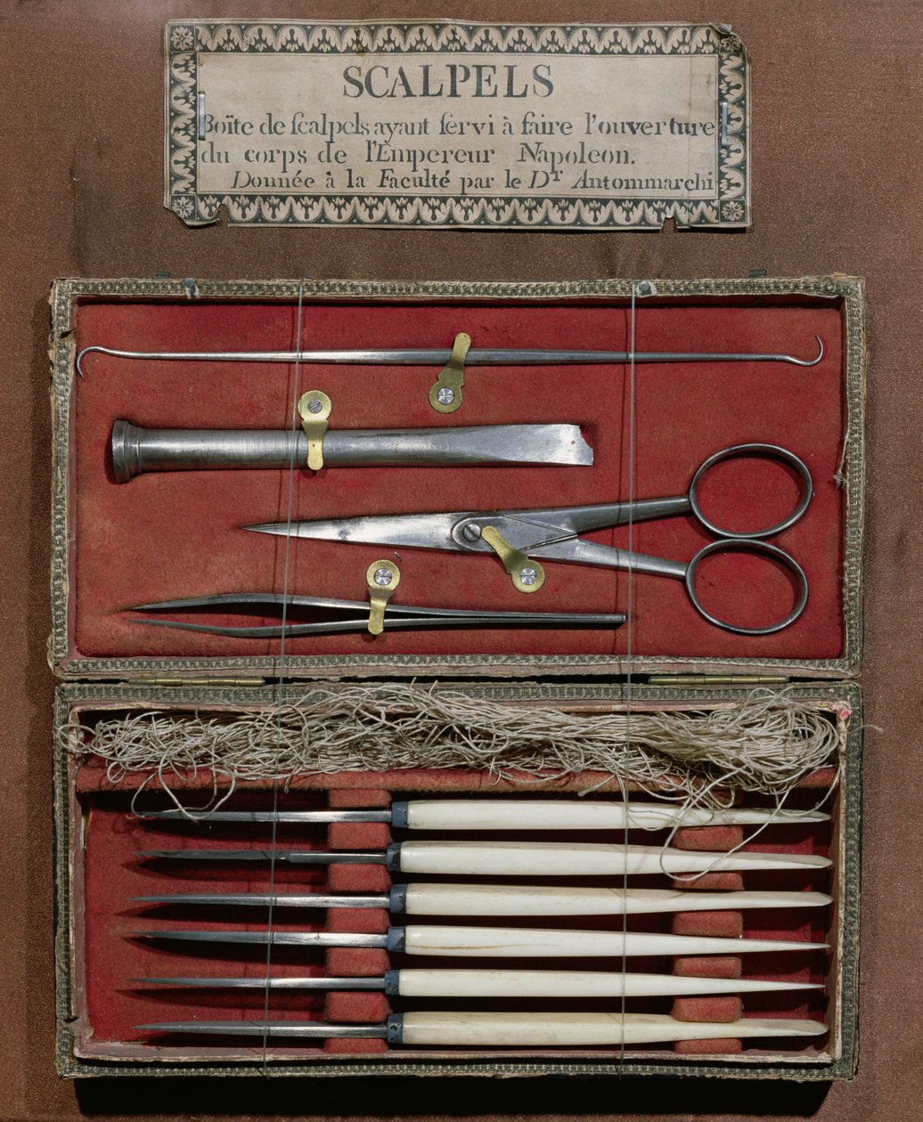 Instruments chirurgicaux utilisés par le docteur Antommarchi pour la dissection de l