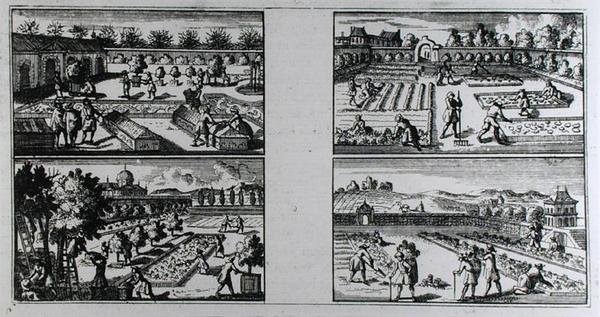 Entretenir un jardin, de 