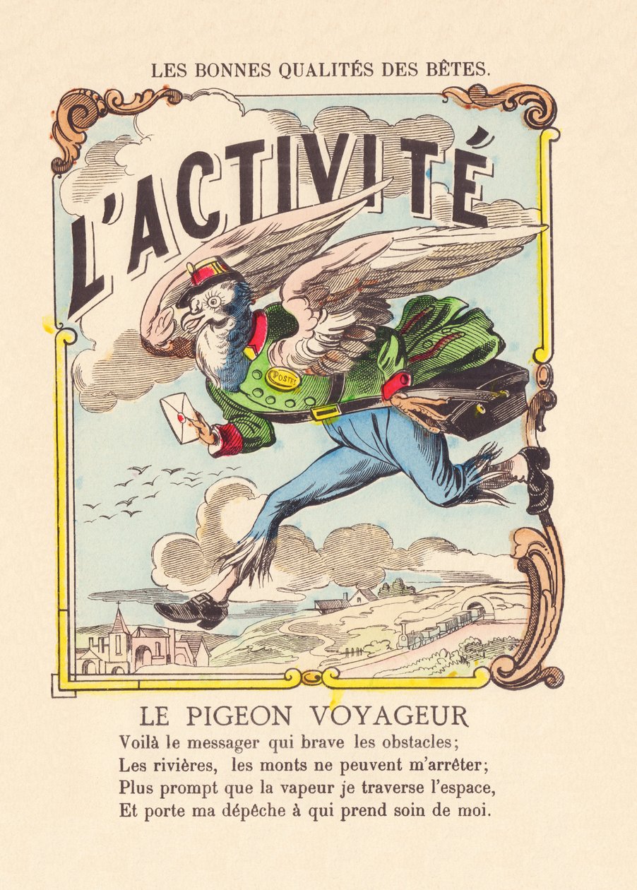 Le Pigeon Voyageur c.1900 - French School