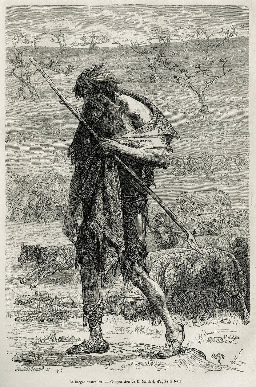 Le berger australien, gravé d