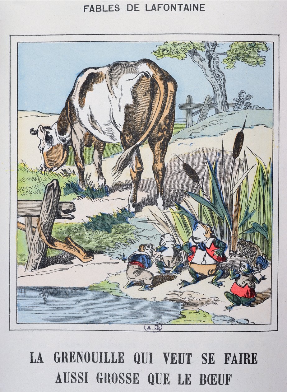 La Grenouille et le Bœuf, des 