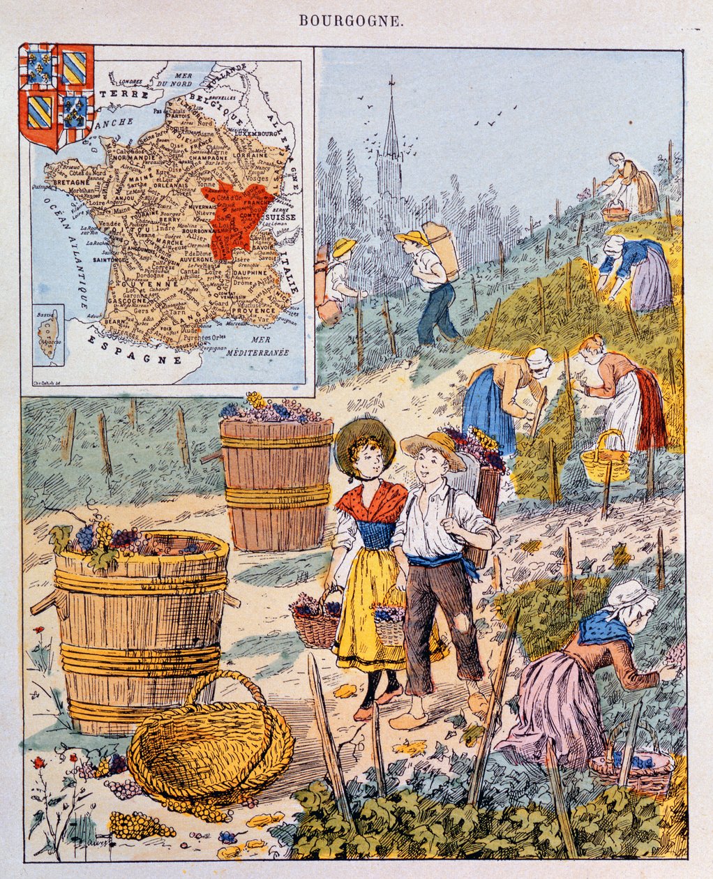 La récolte des raisins en Bourgogne, illustration d